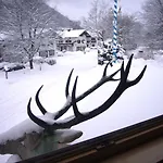 Alpenrose Hotel