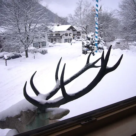 Alpenrose Hotel