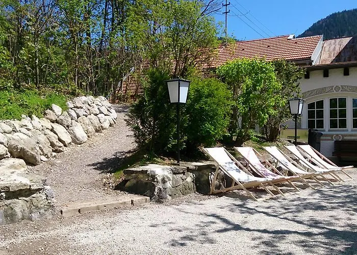 Alpenrose