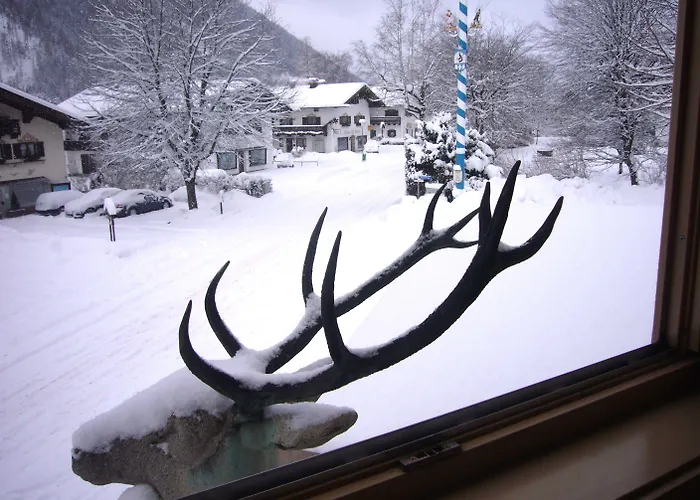 Alpenrose Hotel
