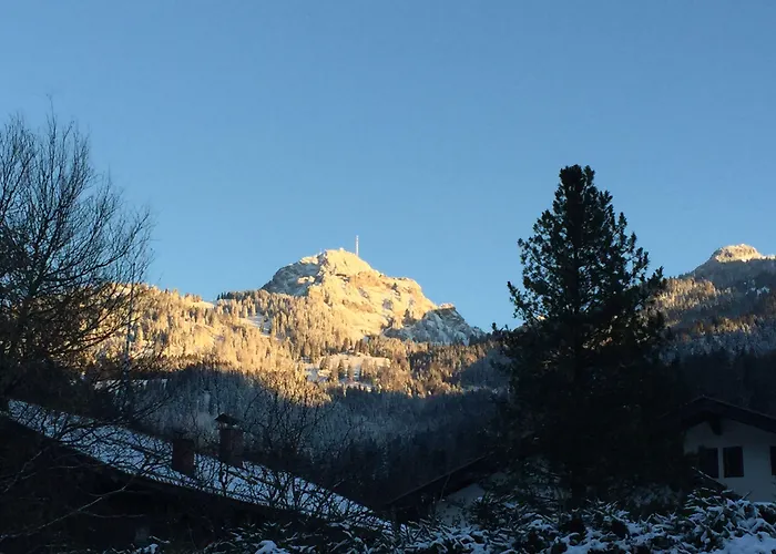 Alpenrose Hotel